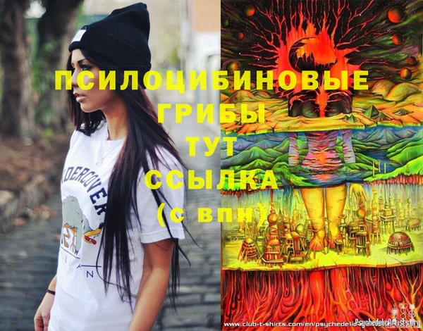 гашик Аркадак