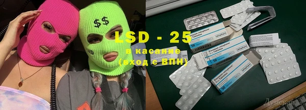 гашик Аркадак