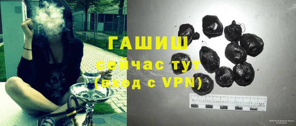 гашик Аркадак